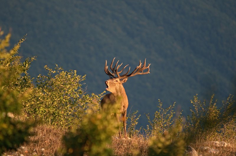 Equinozio d''autunno